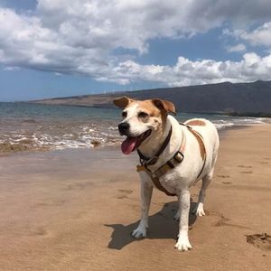 Meet your Posher, Janine